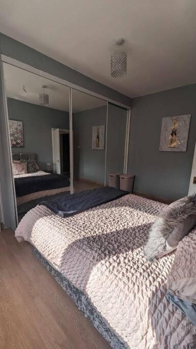 Lovely 2 Bedroom Apartment In Heart Of Dundee Dış mekan fotoğraf